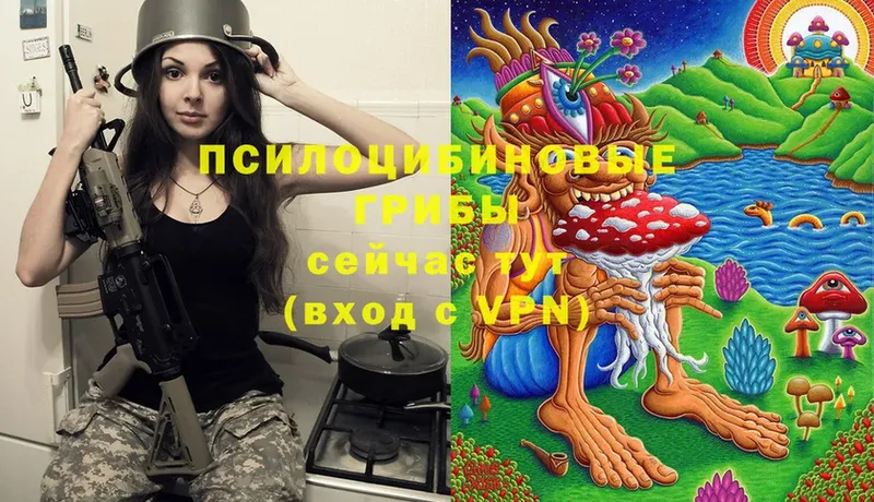 Псилоцибиновые грибы Cubensis  даркнет сайт  Старая Русса 